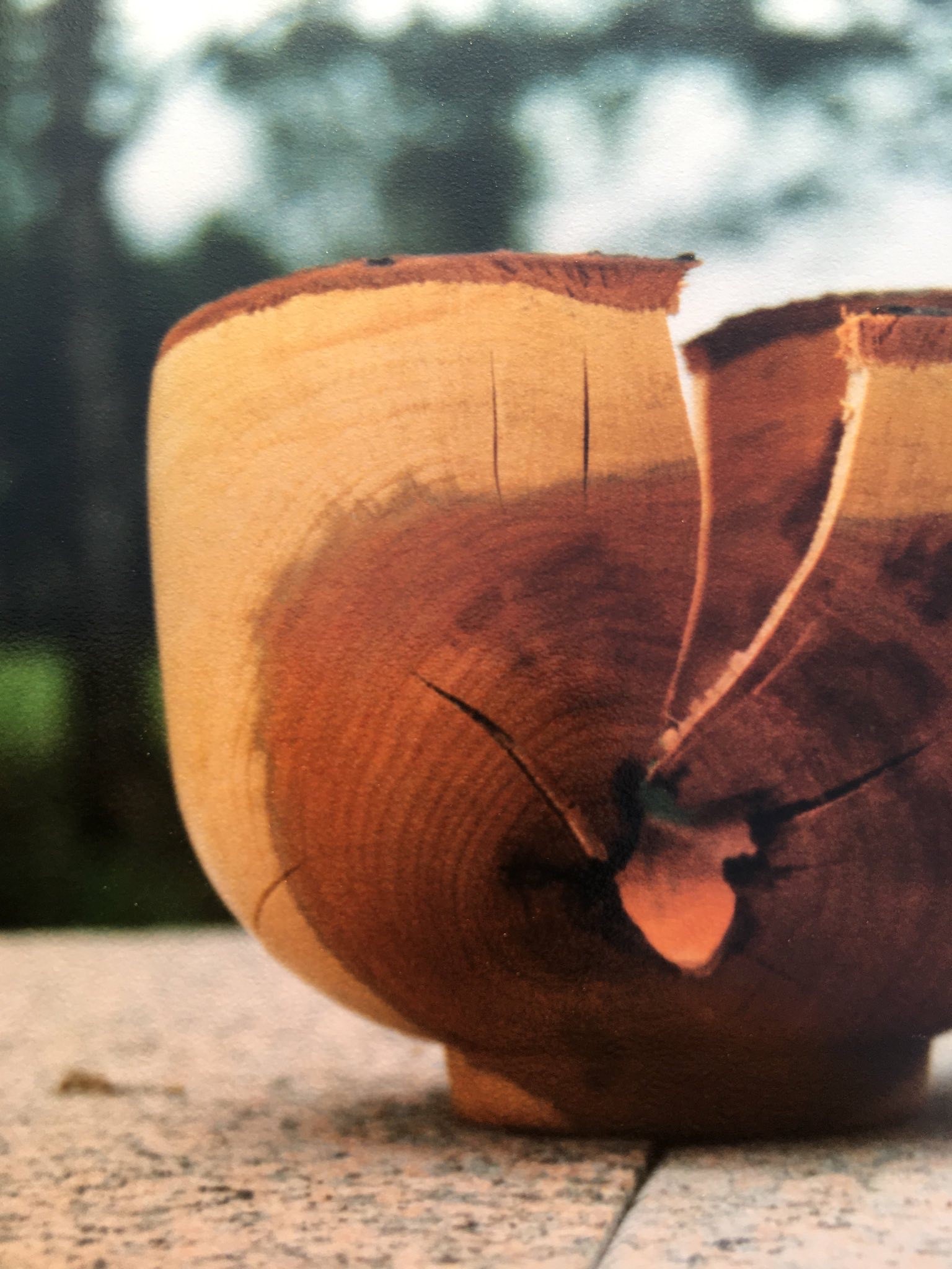 Team Member Rolf Zeller